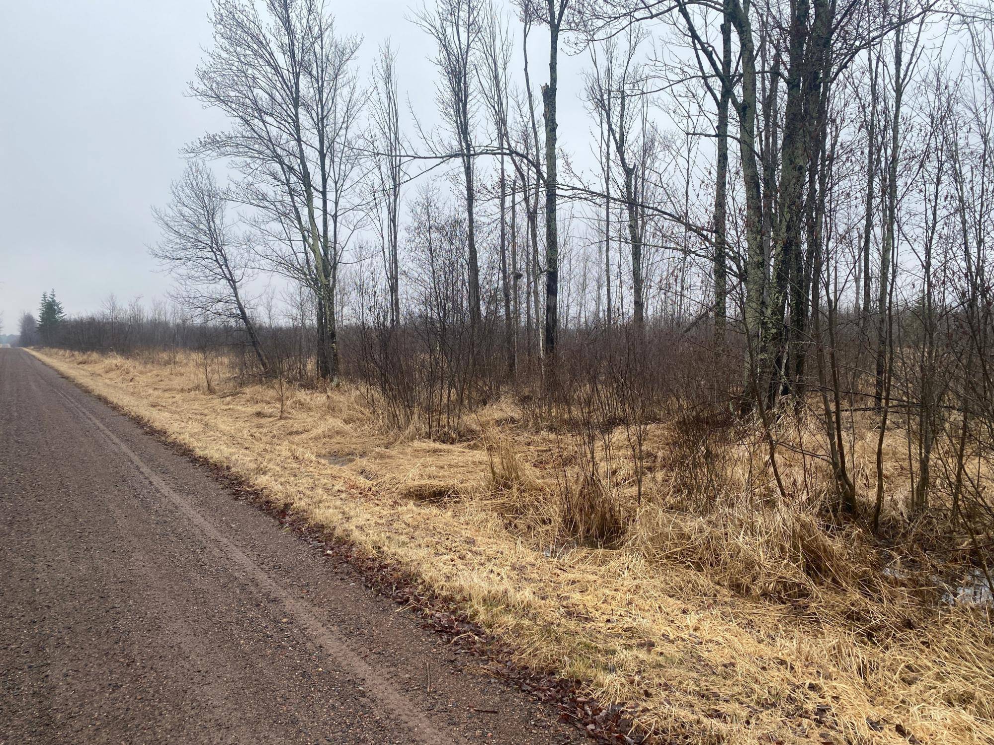 Ogema, WI 54459,ON SHAUGER RD
