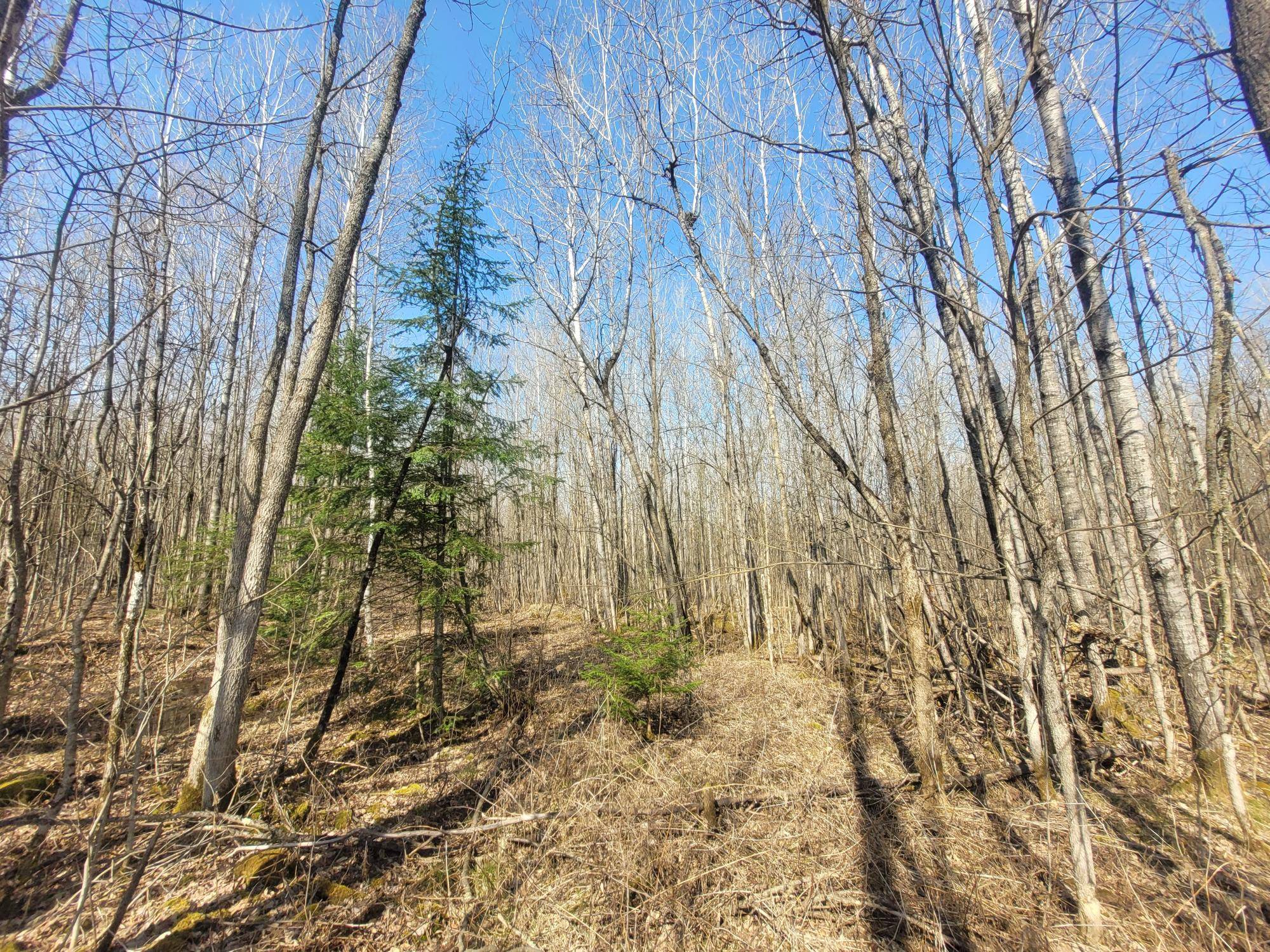 Loretta, WI 54896,ON CEMETERY RD