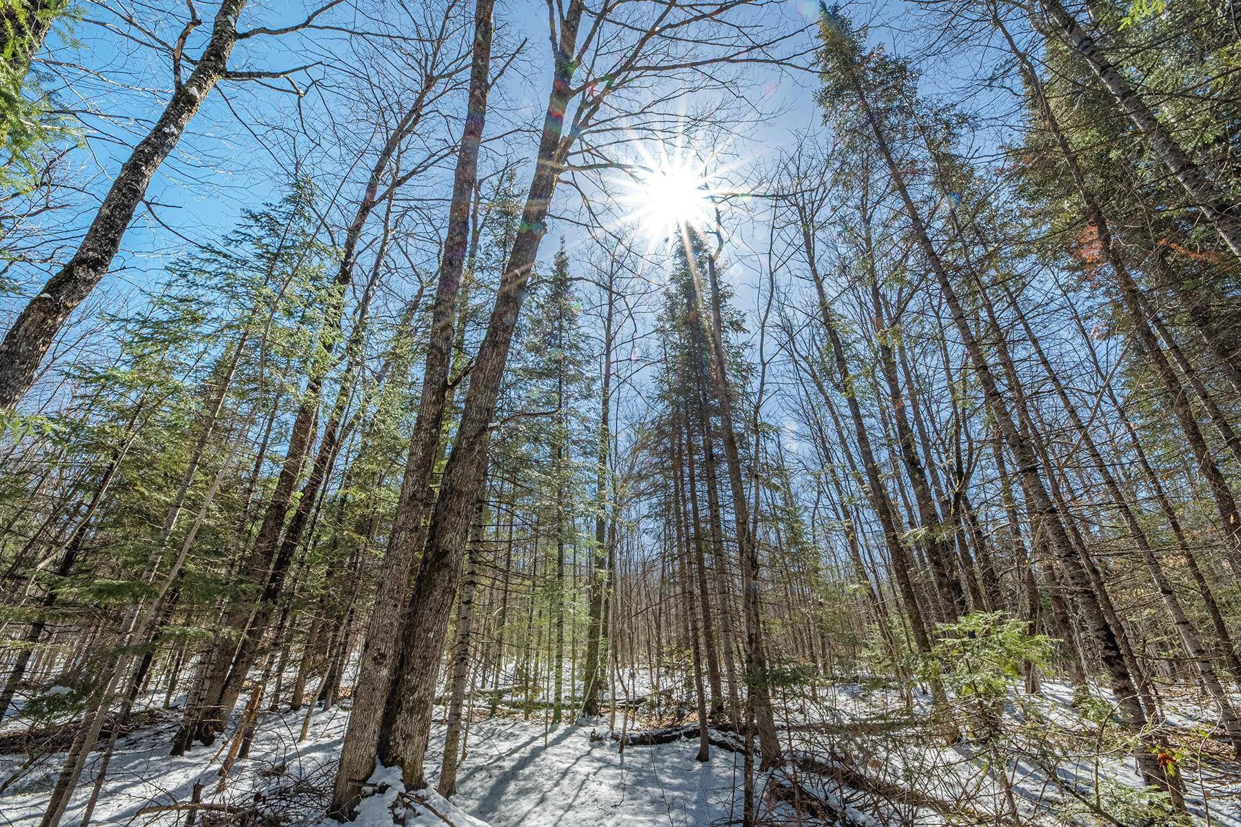Upson, WI 54565,56.97 ac HWY 77