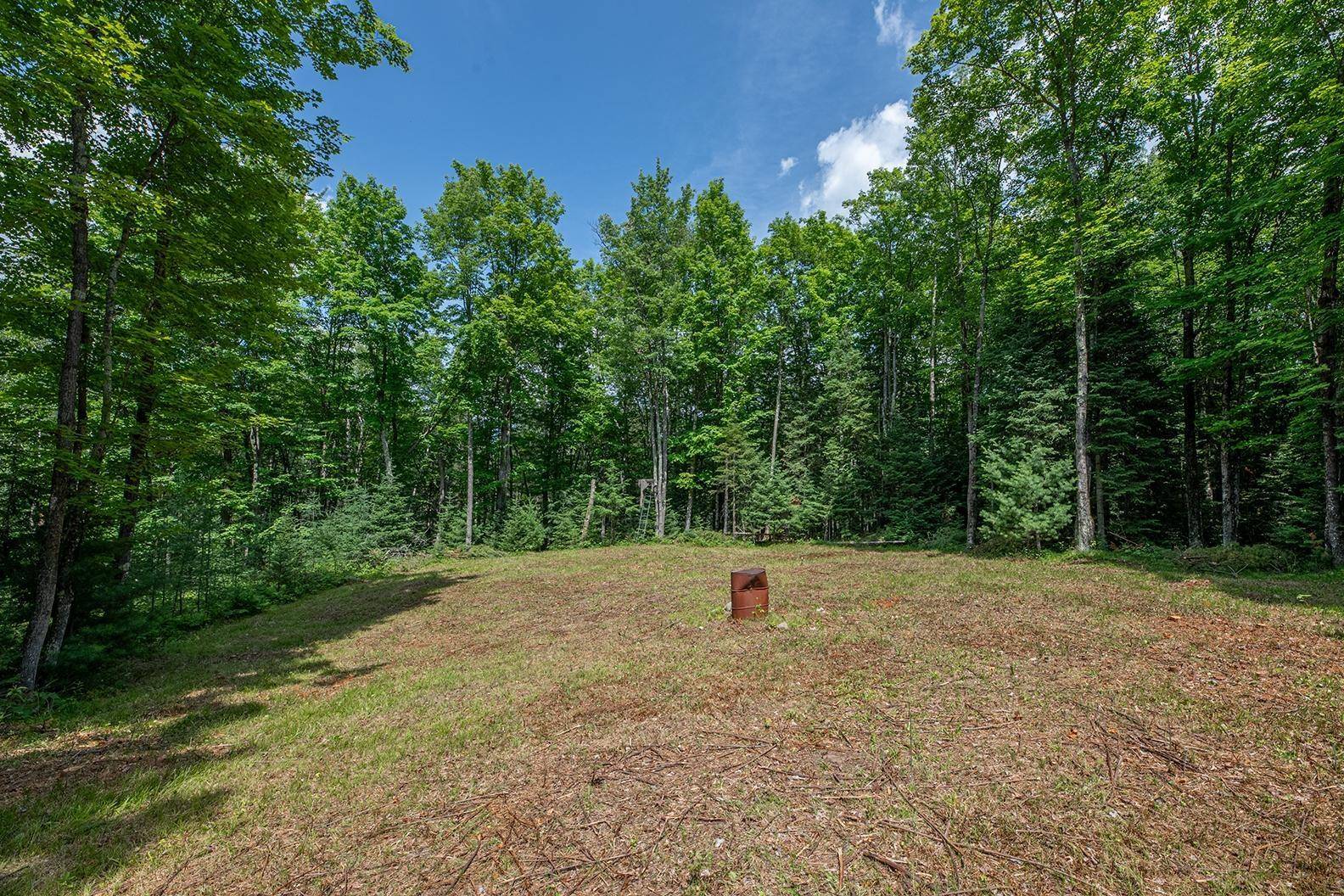 Rhinelander, WI 54501,Lot 13 CRANES RD