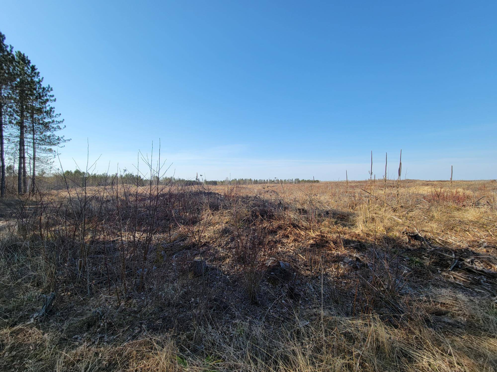 Loretta, WI 54896,NEAR KNOWLES RD