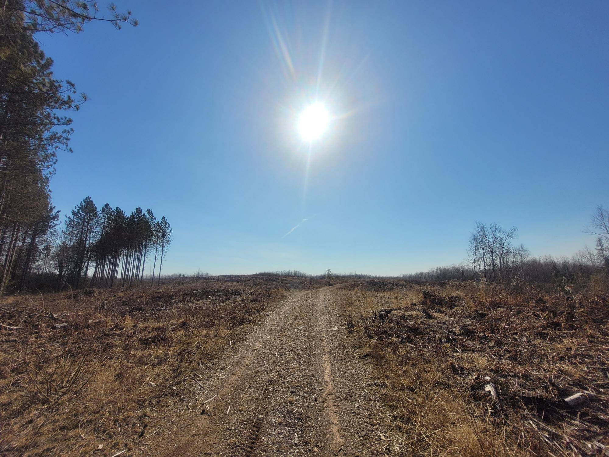 Loretta, WI 54896,NEAR KNOWLES RD