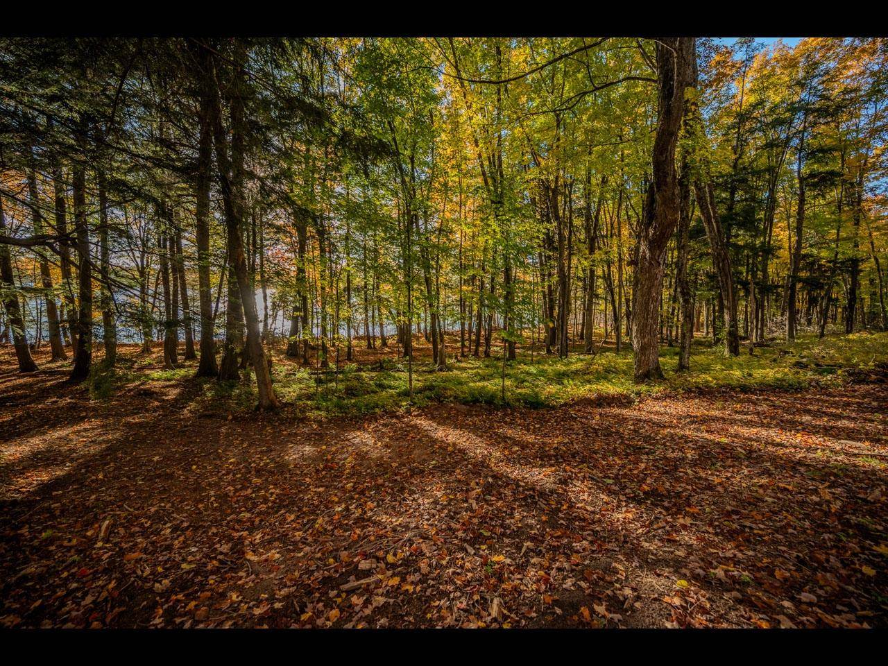 Land O Lakes, WI 54540,ON-LOT 9 INDIAN LAKE RD