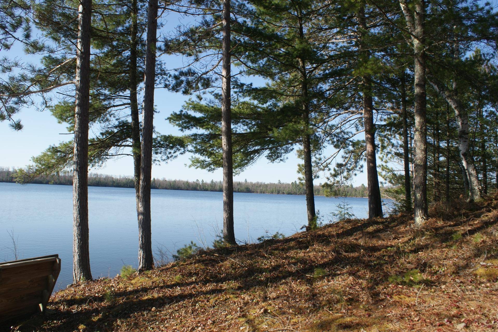 Land O Lakes, WI 54540,6576 INKPOT LN