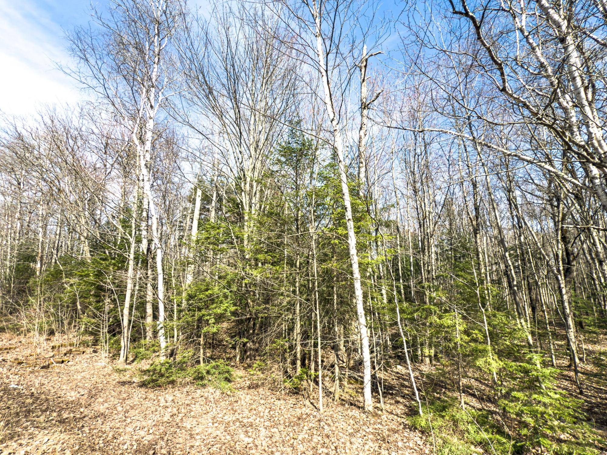 MI 49911,ON CHANEY LAKE RD