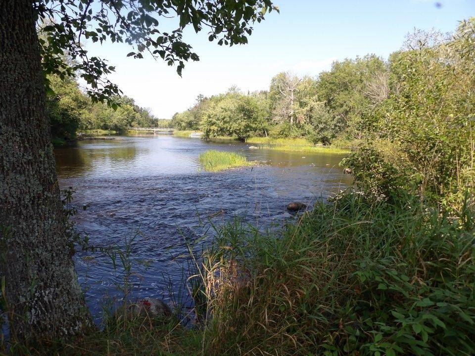 Loretta, WI 54896,4544W BLAISDELL CT