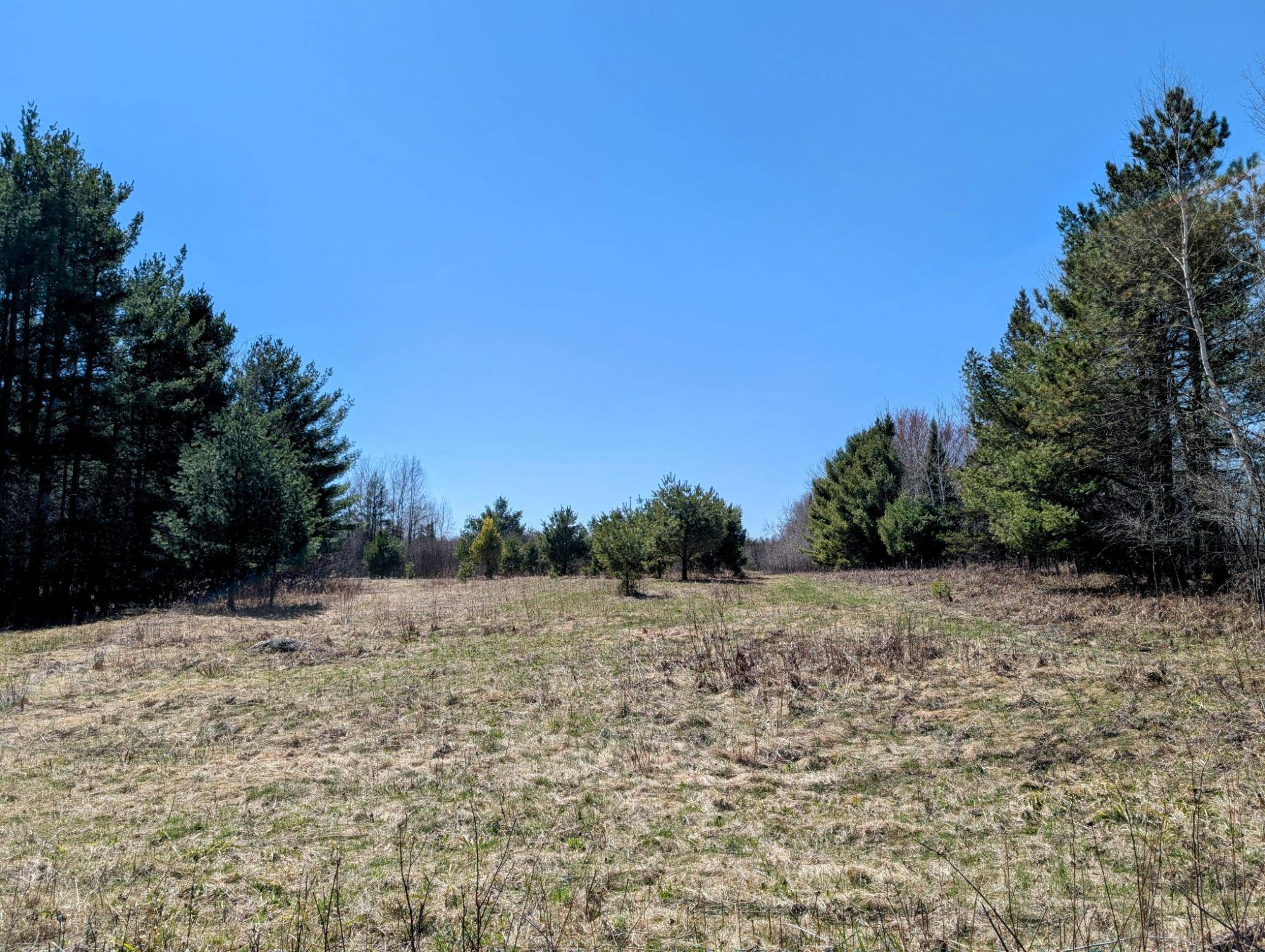 Park Falls, WI 54552,Lot 11 BEAR PAW TR
