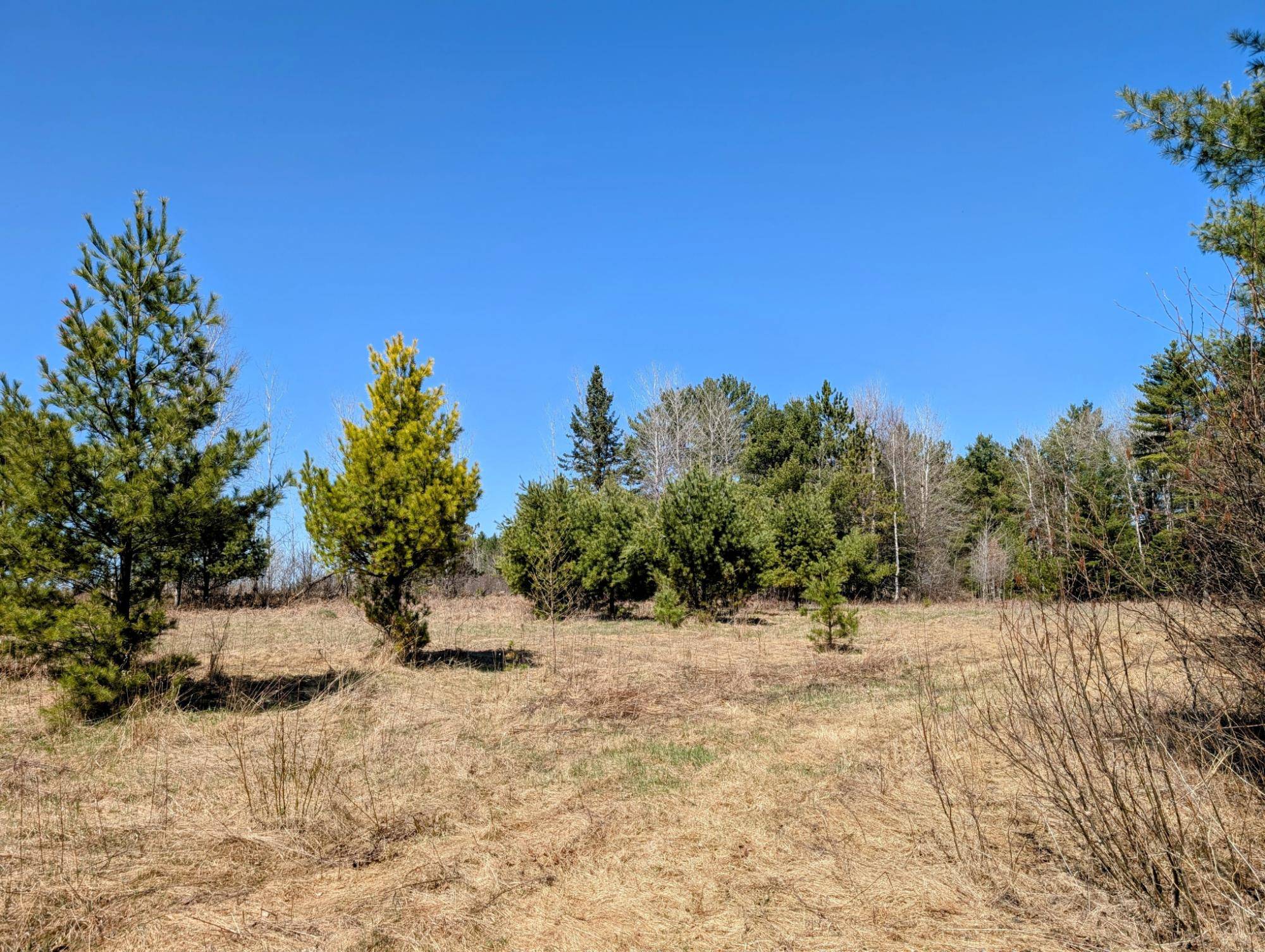 Park Falls, WI 54552,Lot 11 BEAR PAW TR