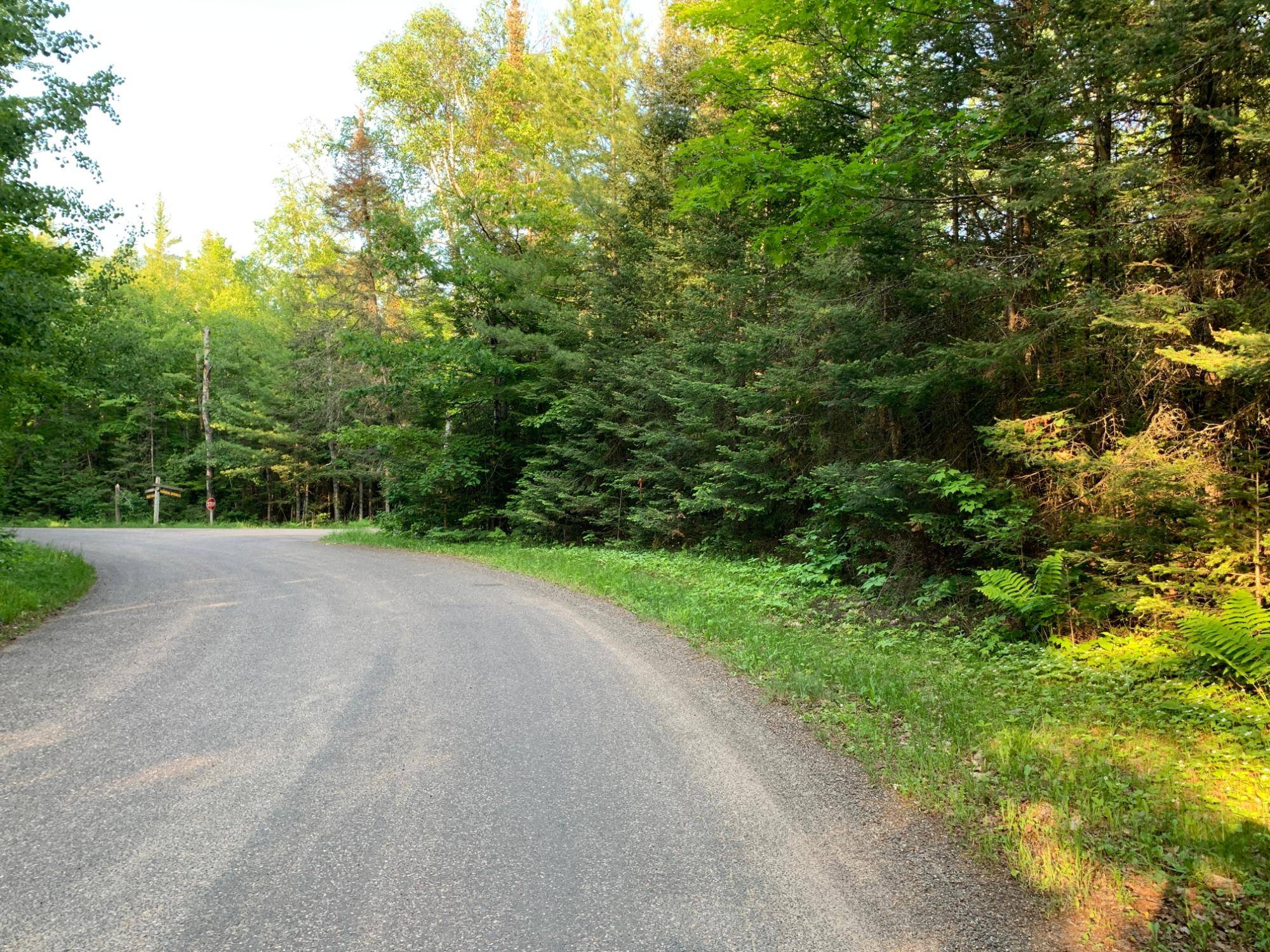 Presque Isle, WI 54557,Lot 22 DEER TRAIL RD