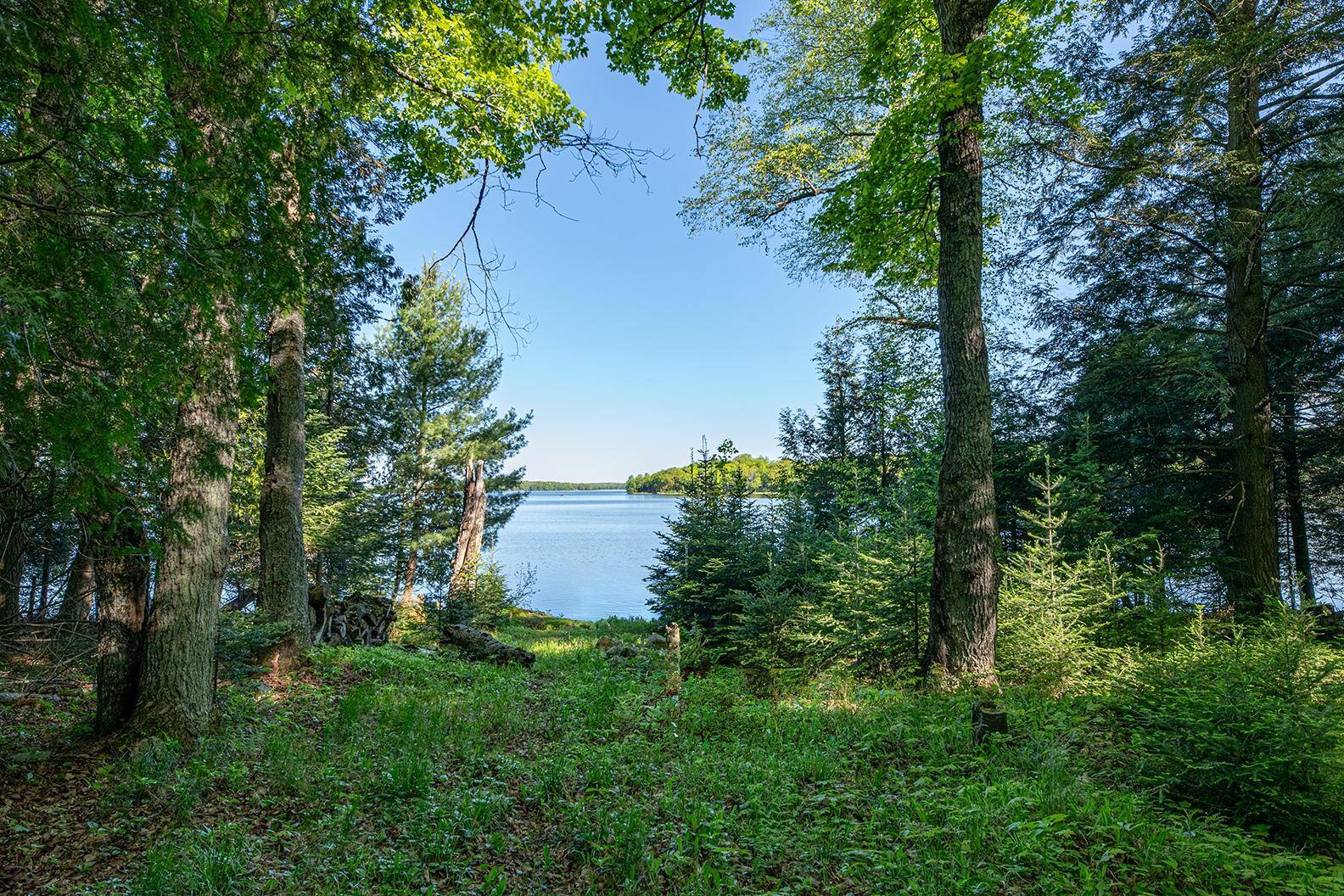 Phelps, WI 54554,2136 SIMPSON RD