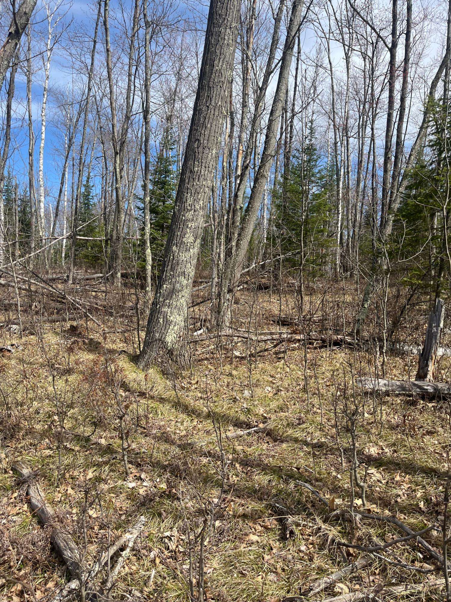Townsend, WI 54175,ON NATURE TR