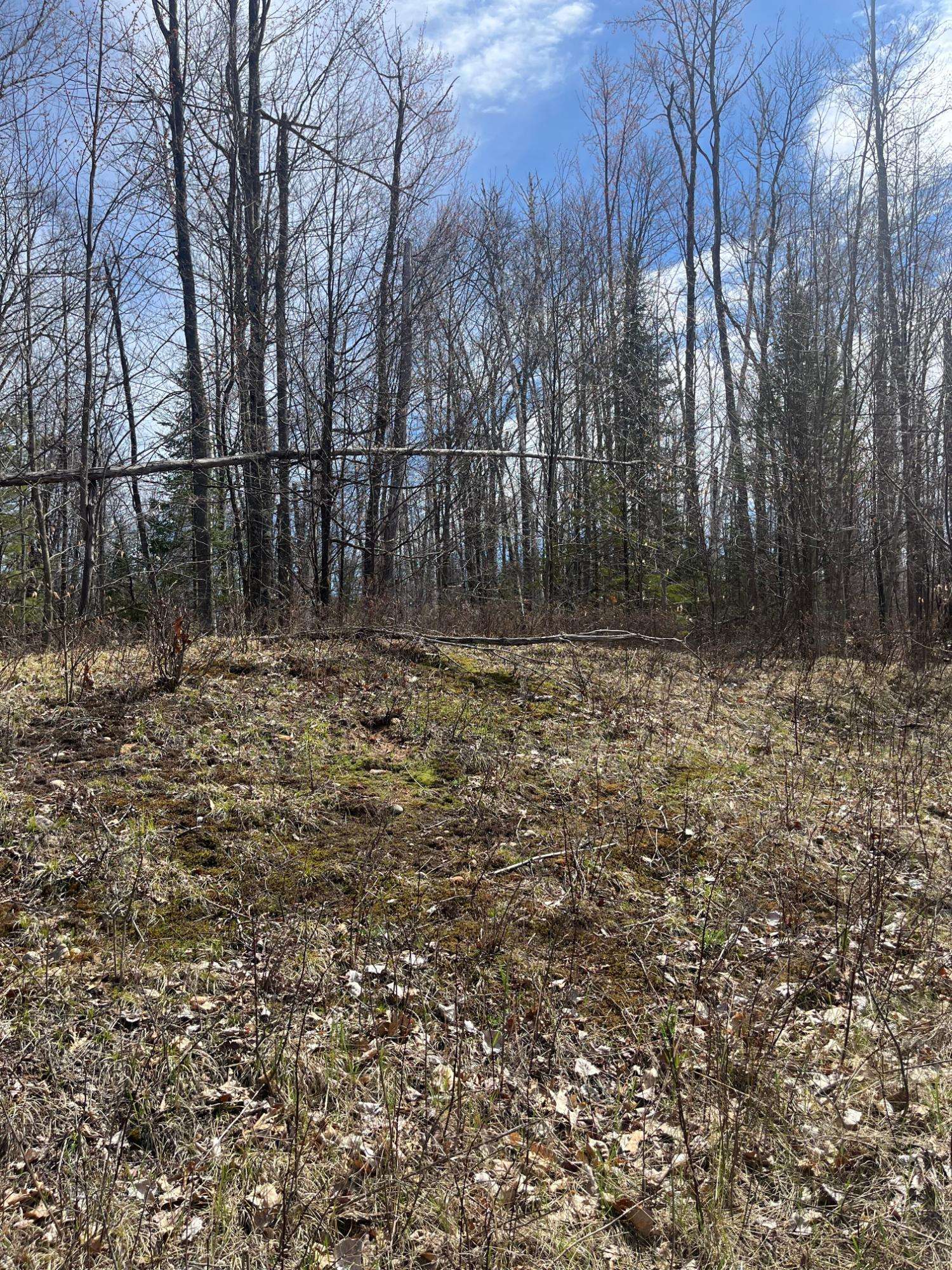 Townsend, WI 54175,ON NATURE TR