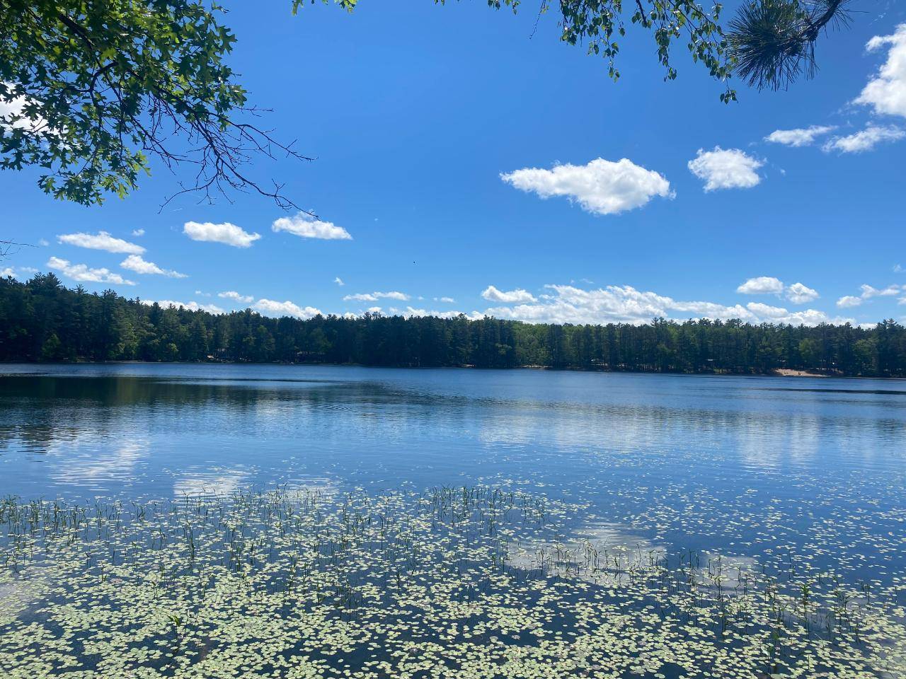 Minocqua, WI 54548,Lot 4 LITTLE POND LN