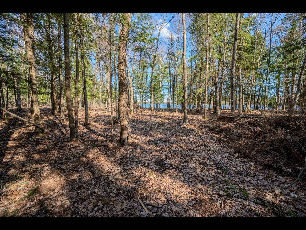 Eagle River, WI 54521,Lot 19 MEMORY LN