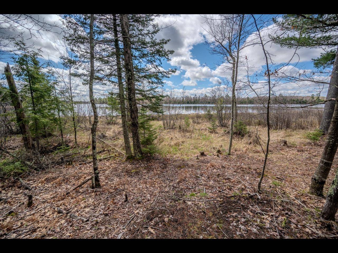 Three Lakes, WI 54521,Lot 21 BONITA PT