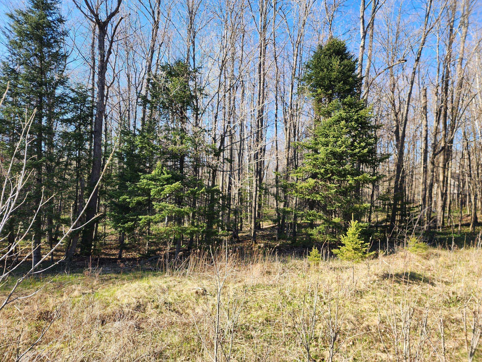Crandon, WI 54520,ON EAST LN