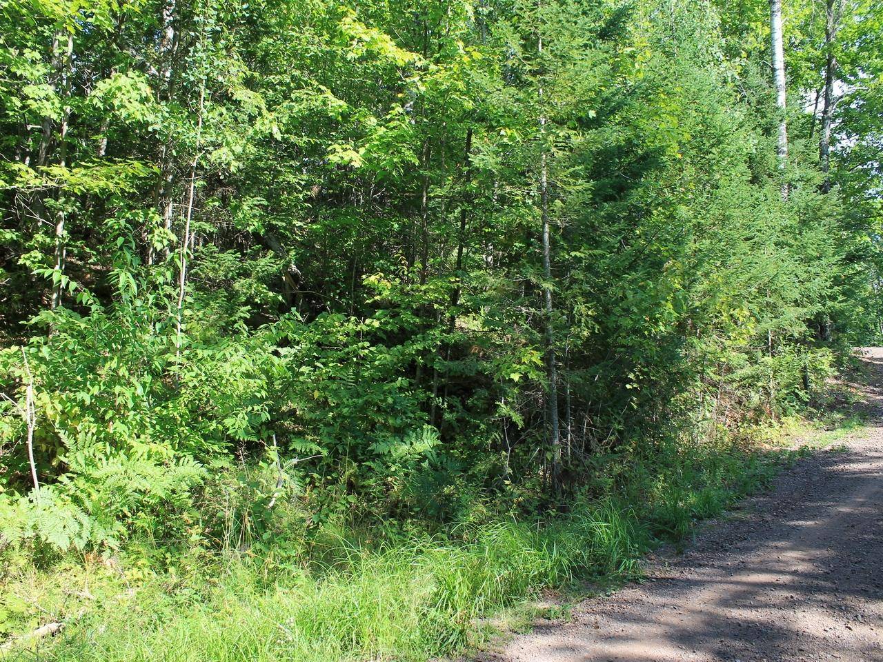Hurley, WI 54565,Lot 16 ALPINE DR