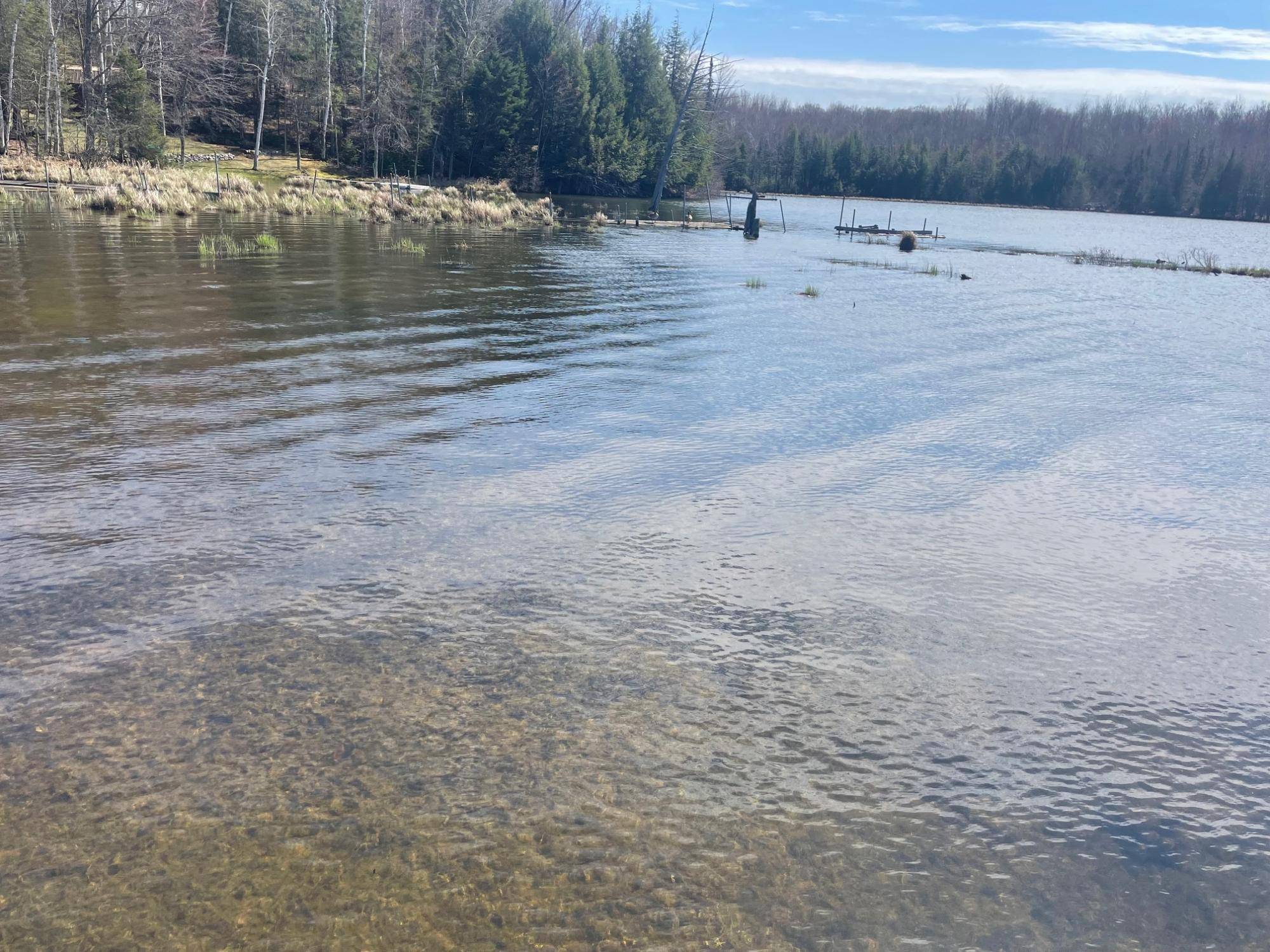 Townsend, WI 54175,18367 PICKEREL LAKE RD
