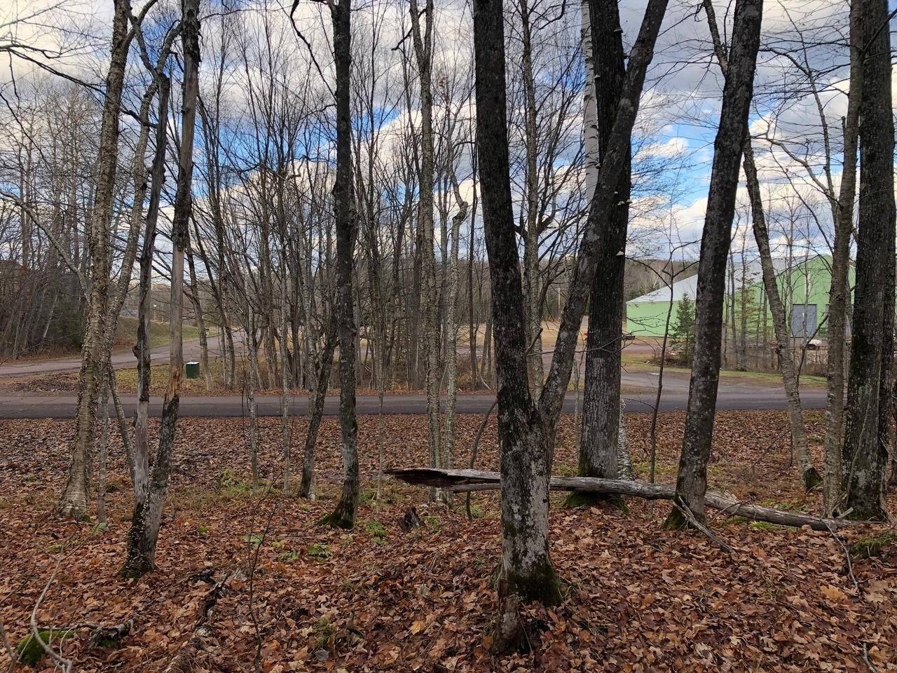 Upson, WI 54565,Outlot 3 SKYE DR