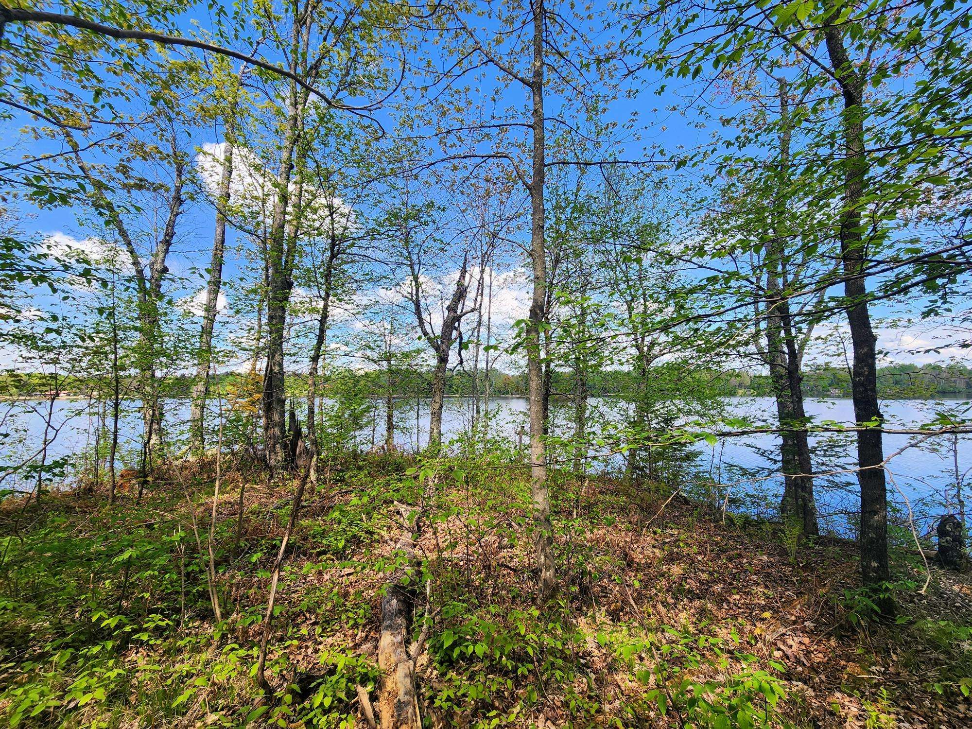 Winter, WI 54896,off LAKE WINTER RD
