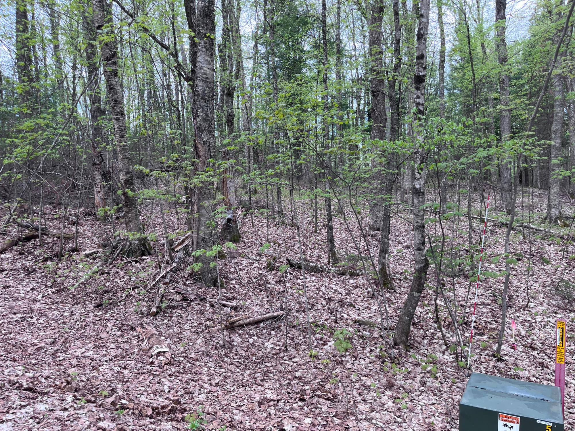 Presque Isle, WI 54512,Off MOONSHINE VALLEY RD #Lot #14
