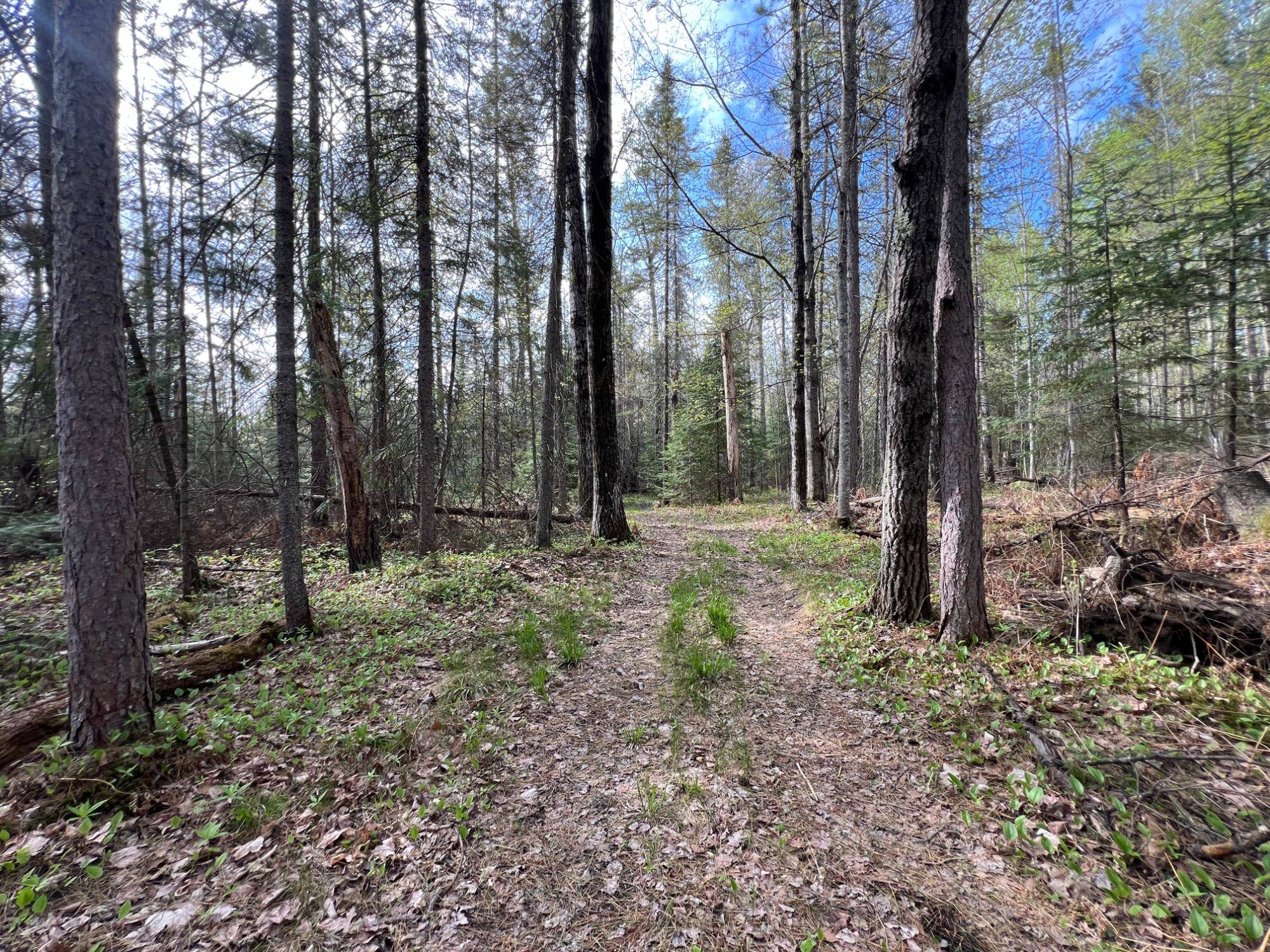 Eagle River, WI 54521,ON RIPCO RD