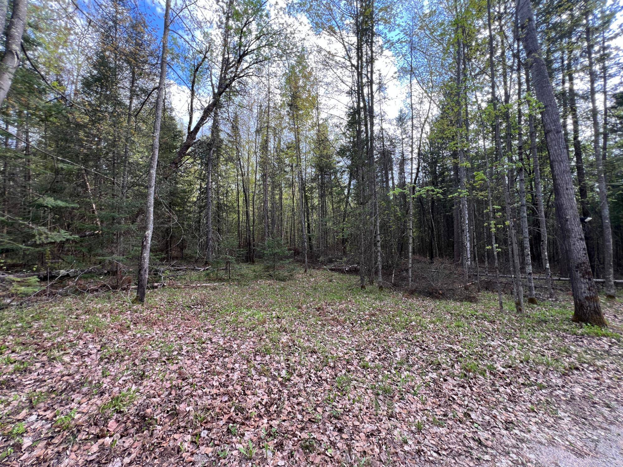 Eagle River, WI 54521,ON RIPCO RD