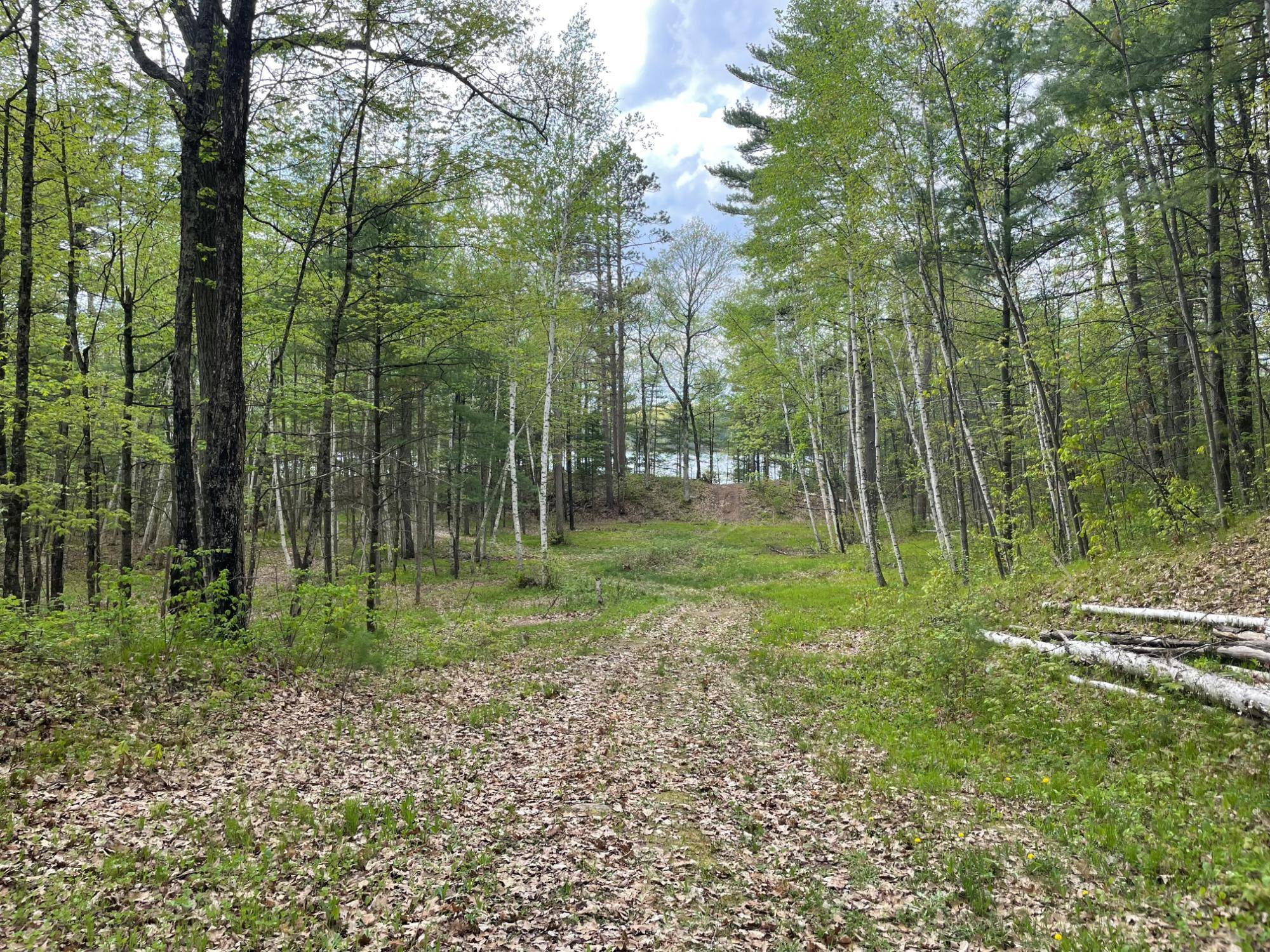 Lac Du Flambeau, WI 54538,Lot 3 MITTEN LAKE RD