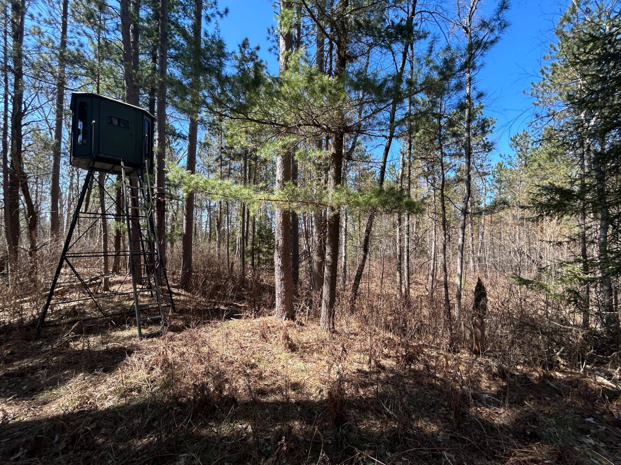 Conover, WI 54519,80AC off RAZORBACK RD