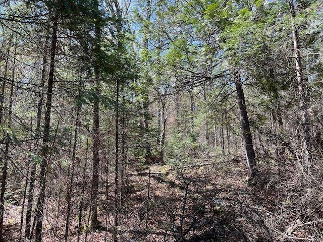 Watersmeet, MI 49969,Off HWY 45