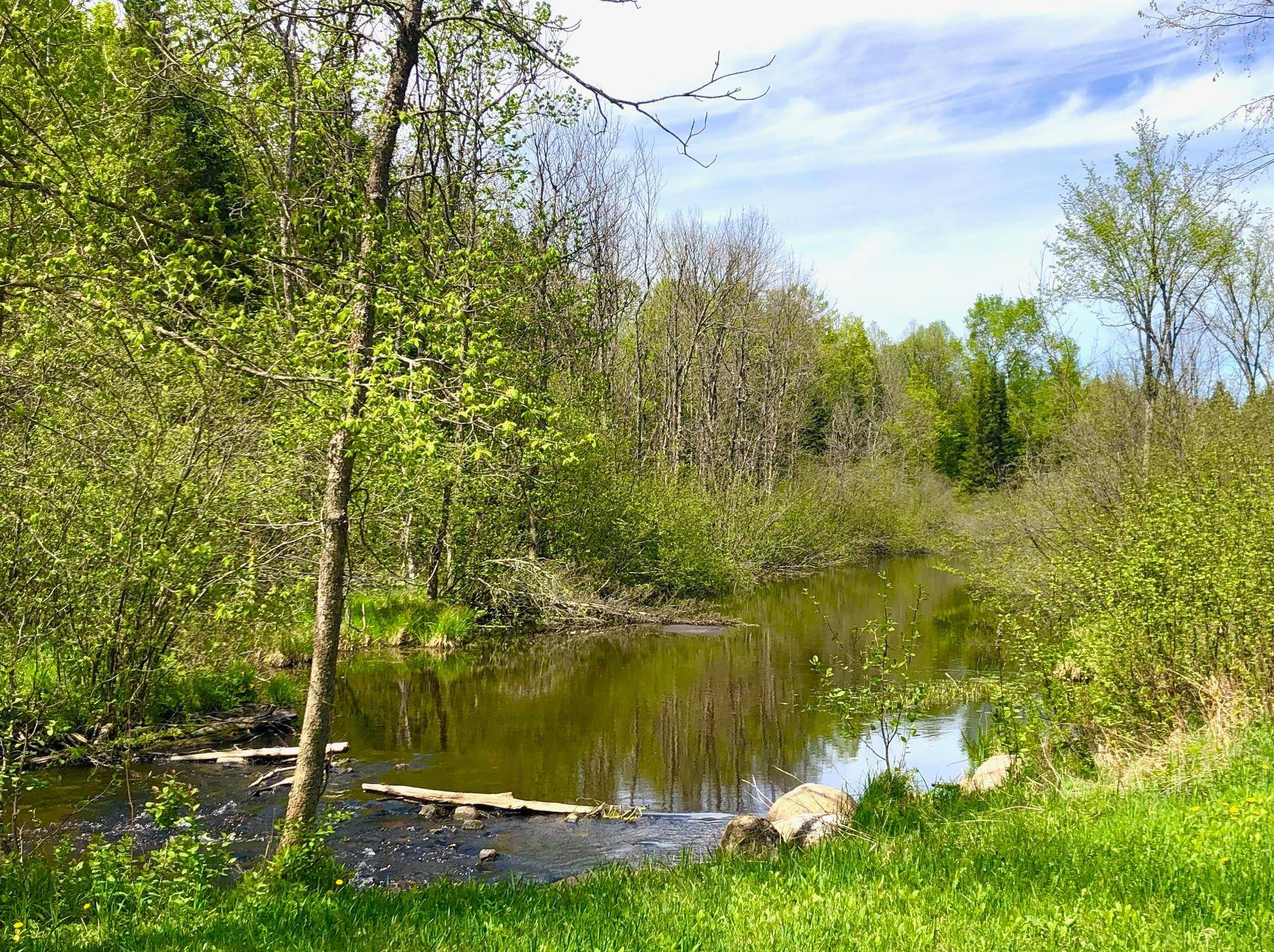 Pickerel, WI 54465,1458 WOODLAWN RD