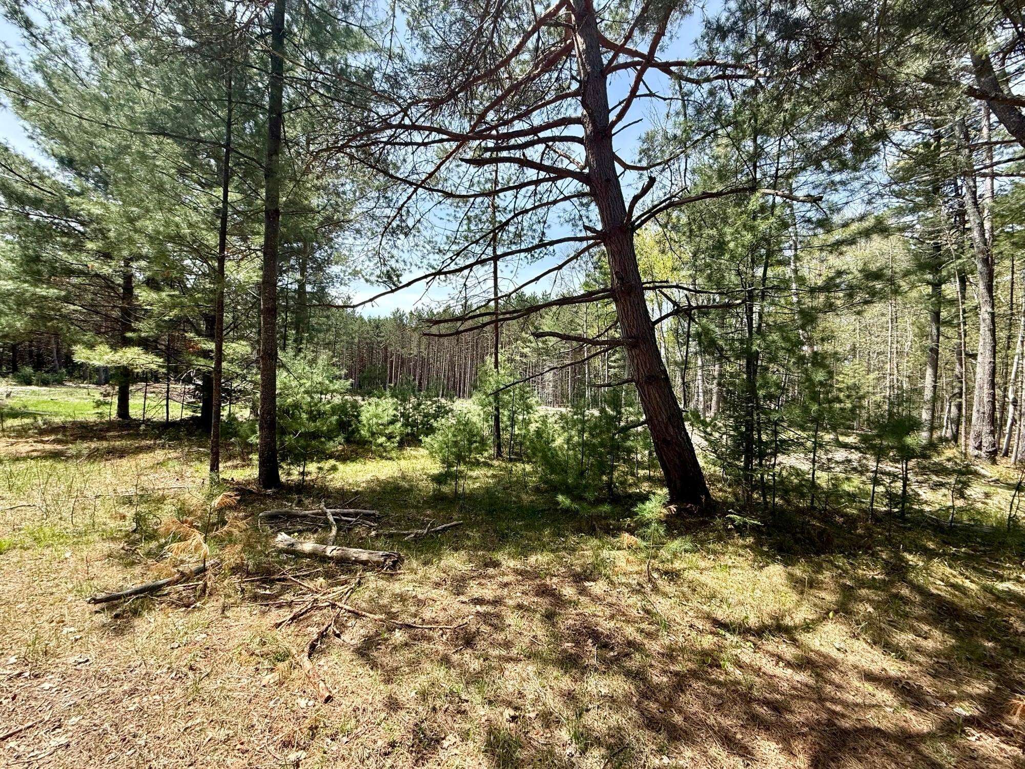 Eagle River, WI 54521,4342 PINE BREEZE WAY