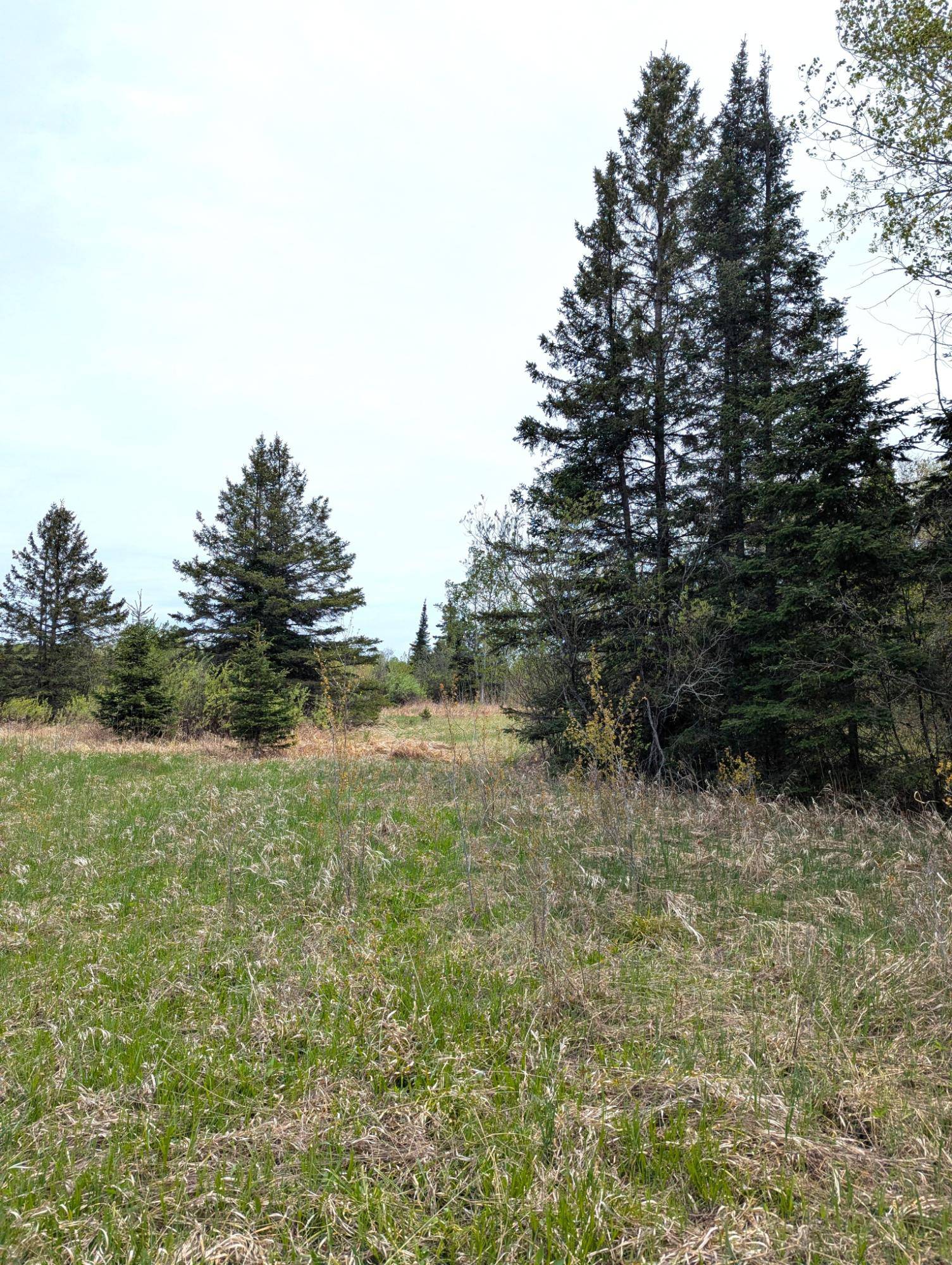 Brule, WI 54820,000 TAR PAPER ALLEY