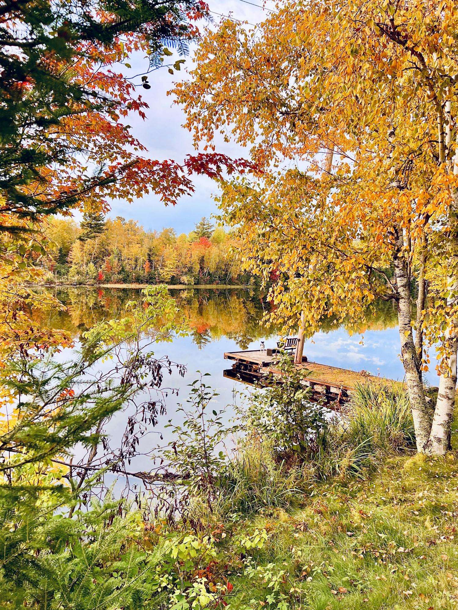 Park Falls, WI 54552,W9694 HWY 70