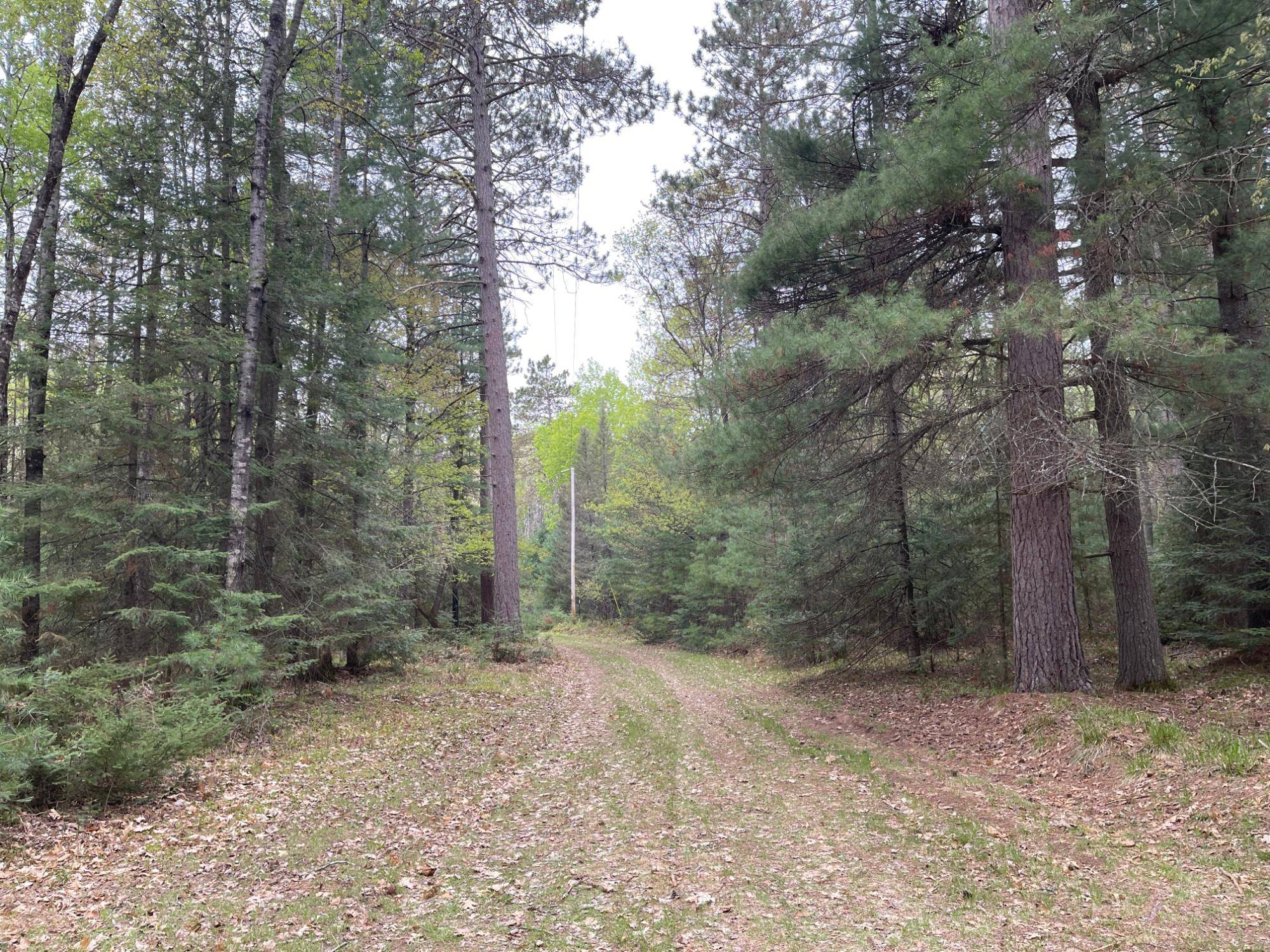 St Germain, WI 54558,lot 3 BURNT BRIDGE TR