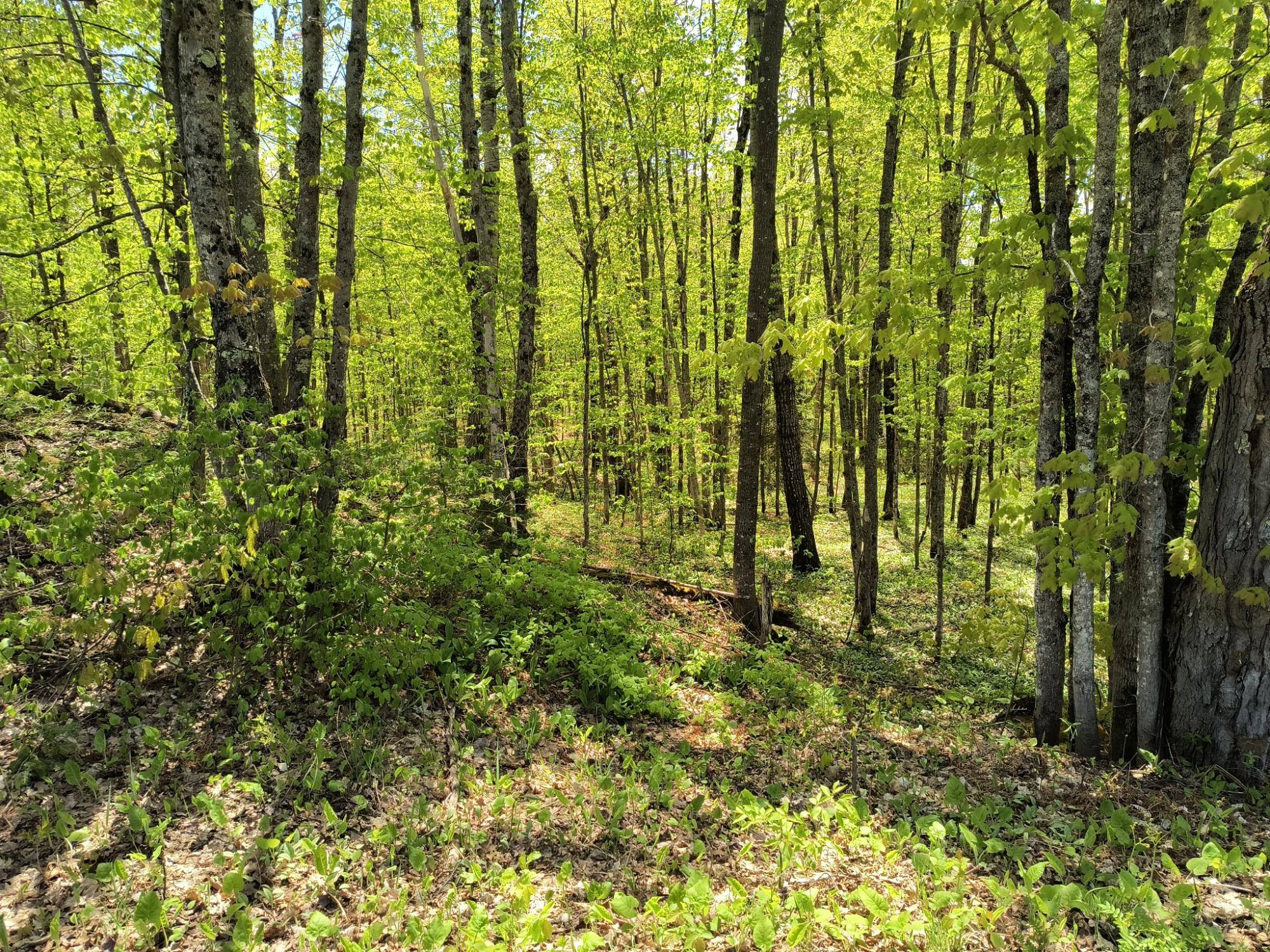 Hurley, WI 54534,TBT RANGE VIEW DR