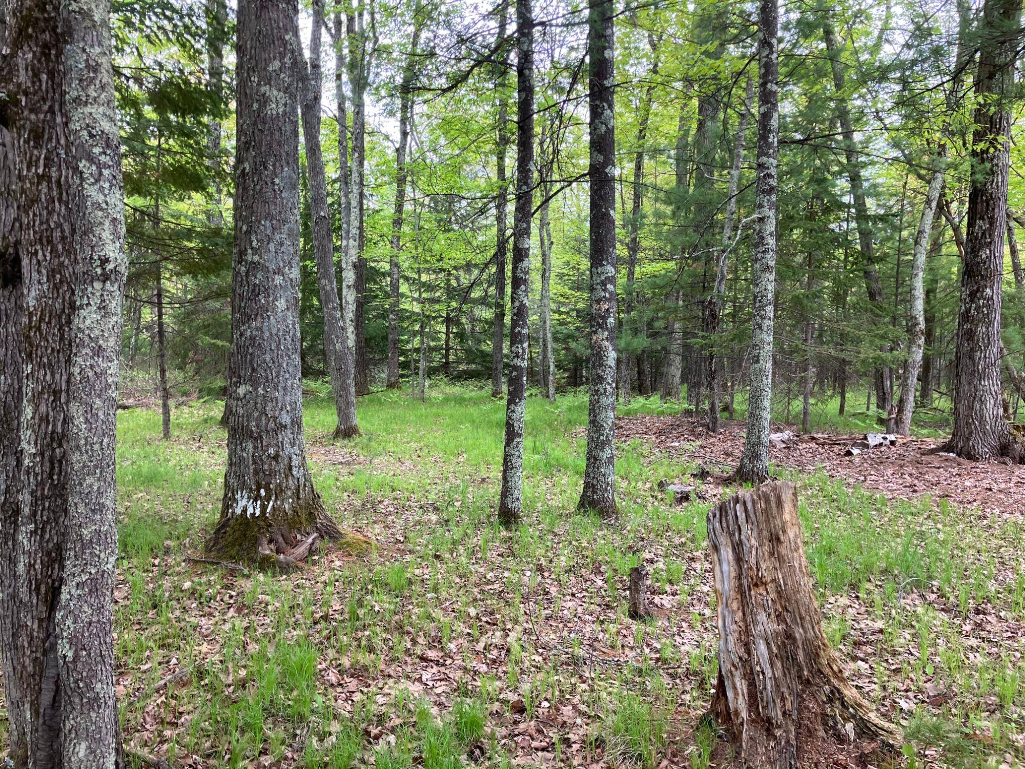 Minocqua, WI 54548,ON THOROUGHFARE RD