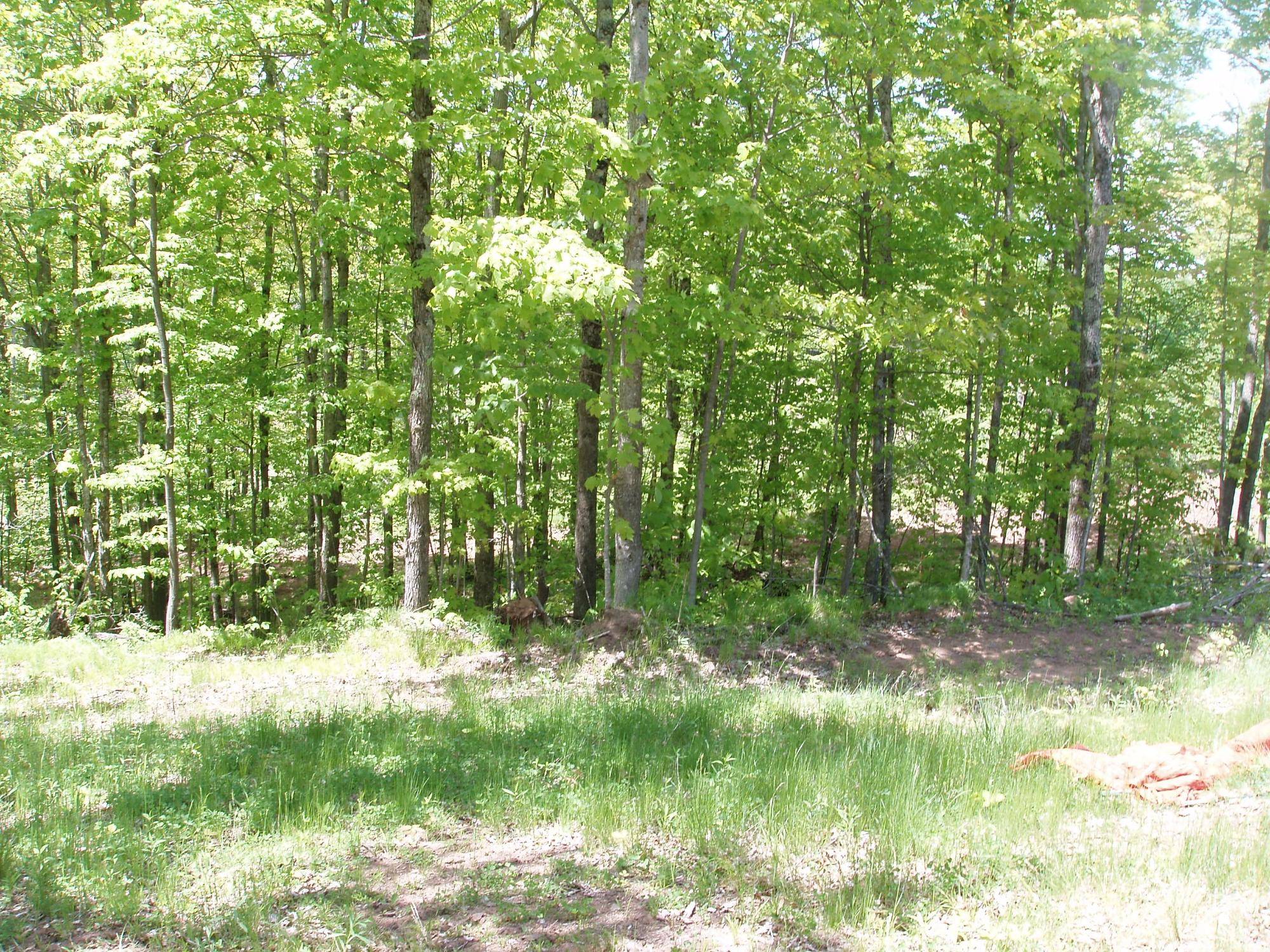 Mellen, WI 54546,ON HWY 169 #Lot 1