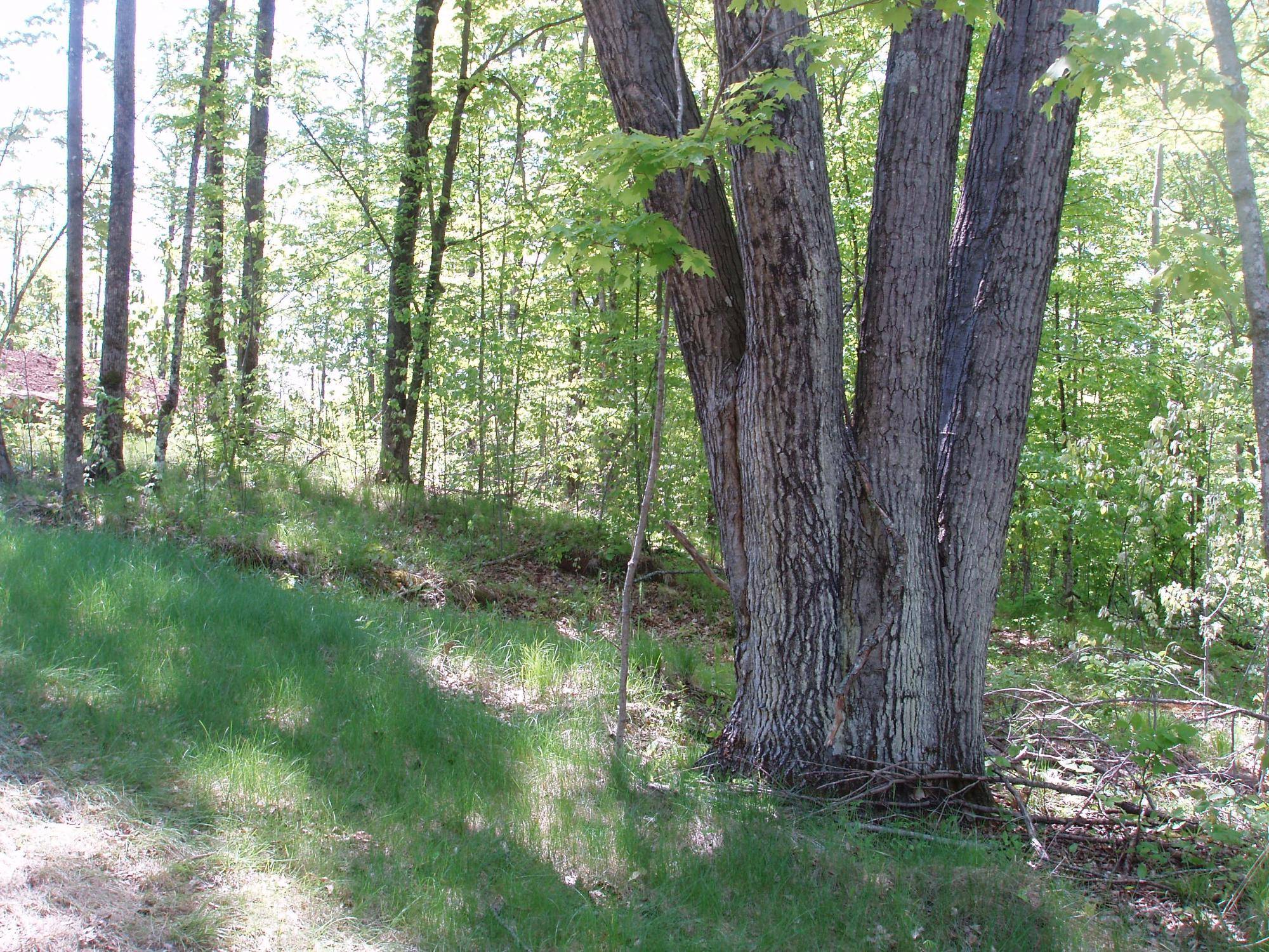 Mellen, WI 54546,ON HWY 169 #Lot 1