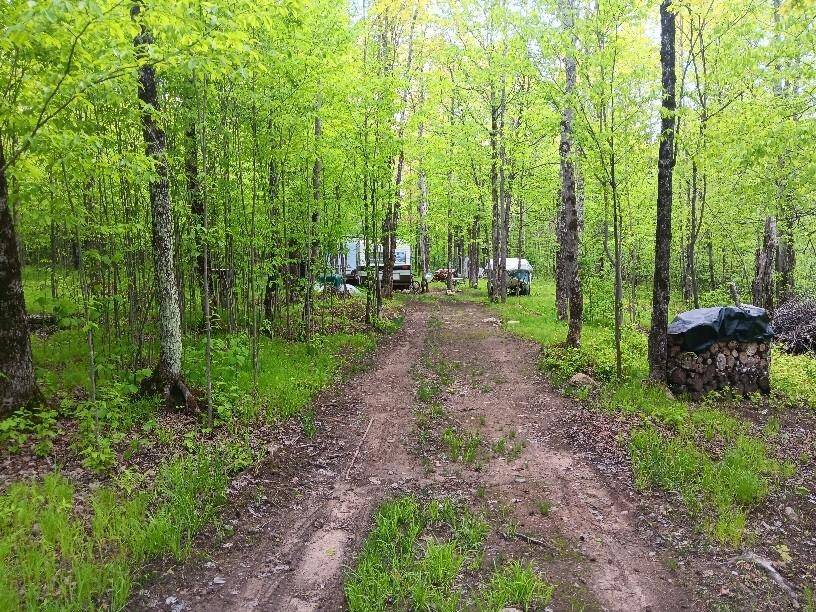 Phillips, WI 54555,N10095 WOODLAND LN