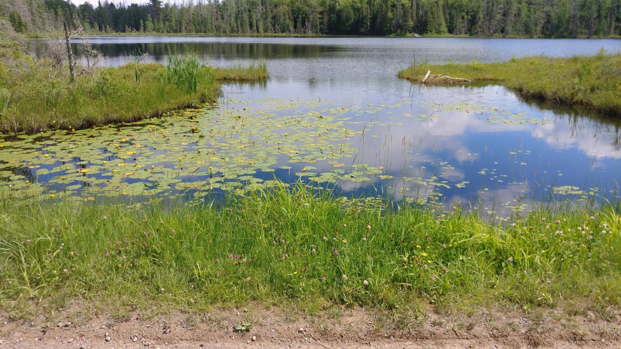 MI 49912,ON JOHNSON LAKE RD