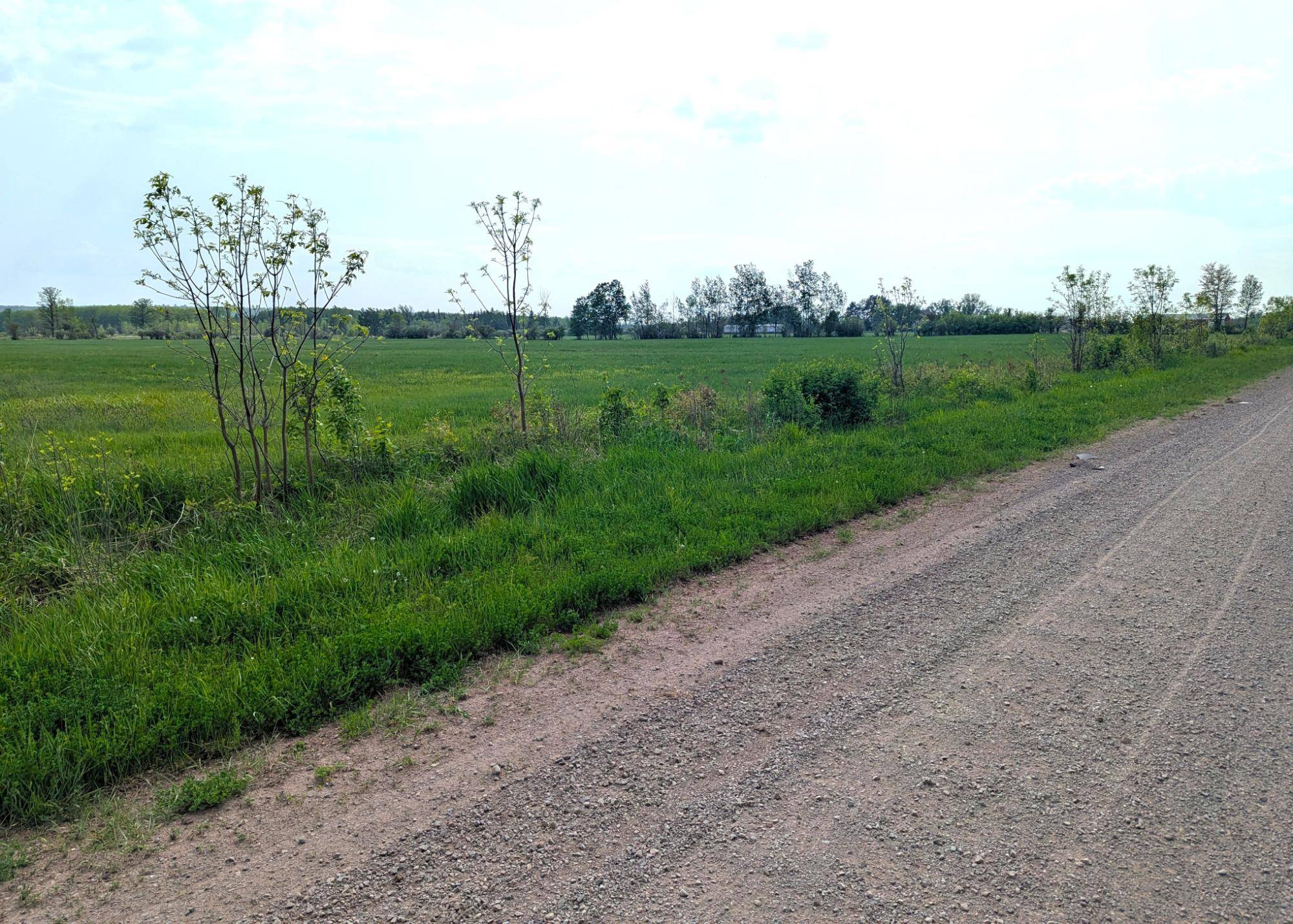 Iron River, WI 54847,00 HAUTALA RD