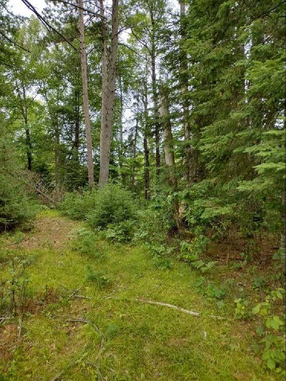 WI 54487,0.56 Acr KILLARNEY DR W