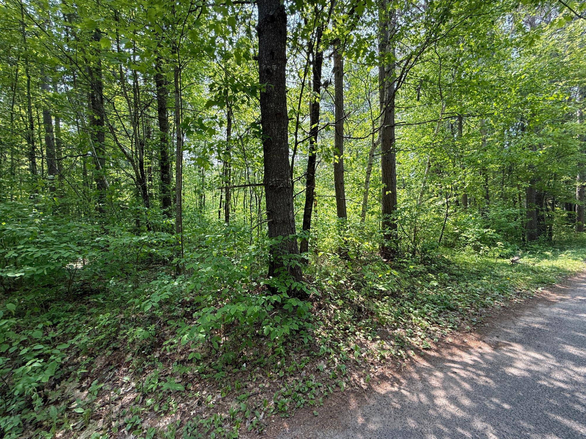 Minocqua, WI 54548,Lot 5 WYANDOCK DR