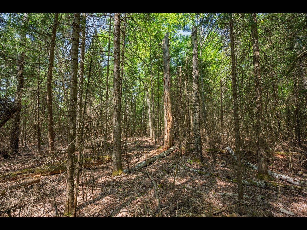 Eagle River, WI 54521,Lot 4 KINDERHOOK TR