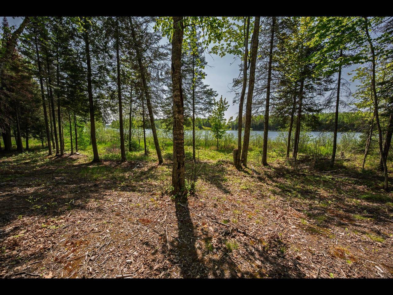 Eagle River, WI 54521,Lot 11 KINDERHOOK TR
