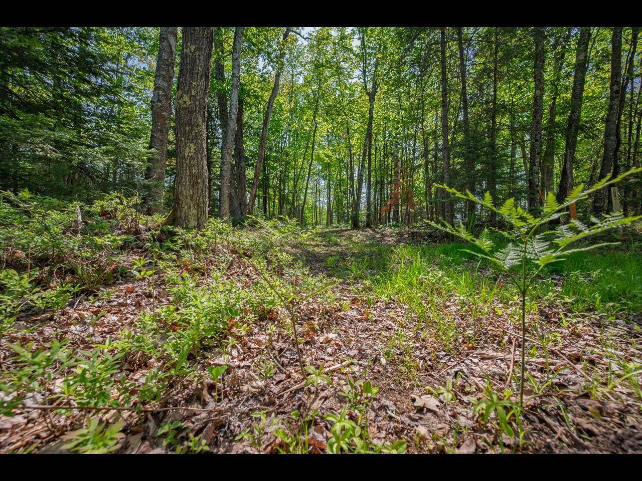 Eagle River, WI 54521,Lot 12 KINDERHOOK TR