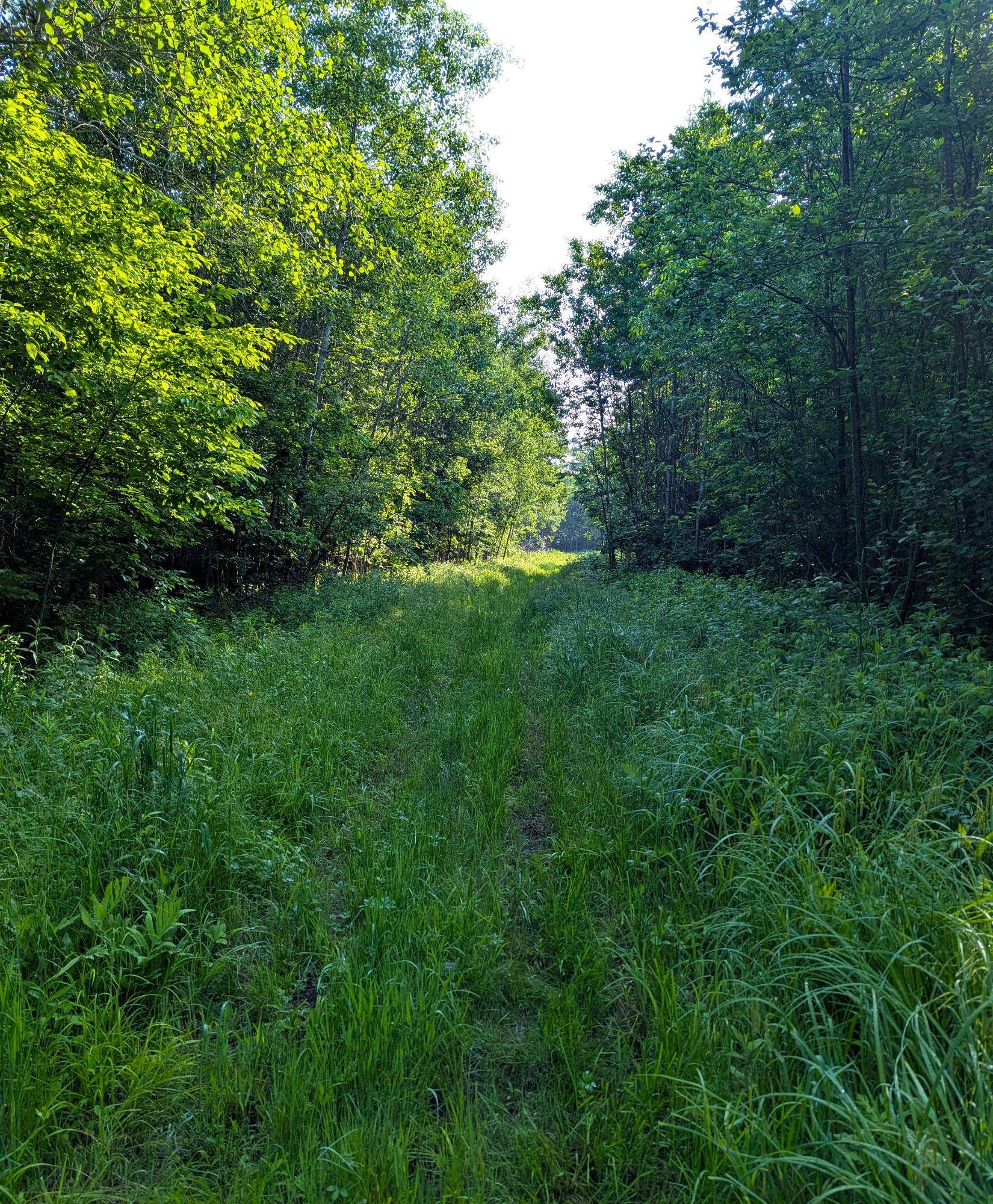 Hawkins, WI 54530,W181 MIDWAY RD