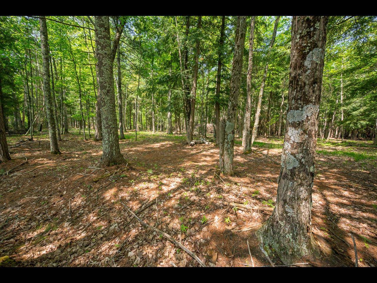 Eagle River, WI 54521,Lot 18 MEMORY LN