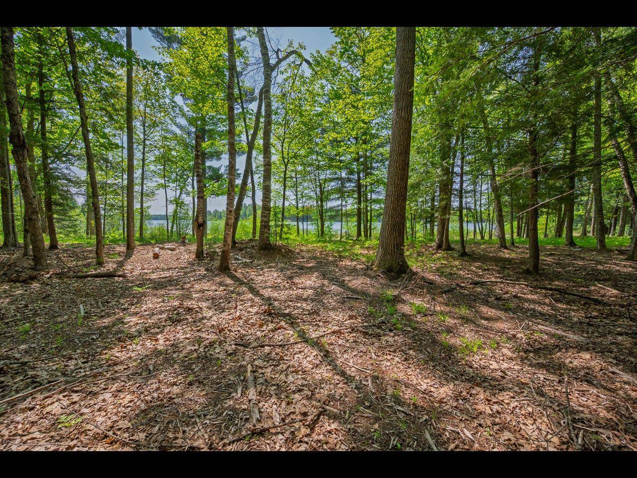 Eagle River, WI 54521,Lot 20 BONITA PT
